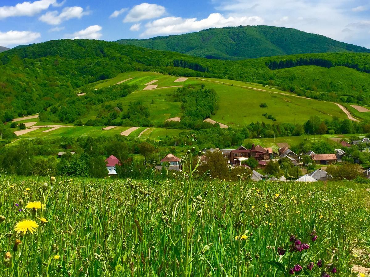 Minihotel Zolotoe Runo Ploskoye Dış mekan fotoğraf